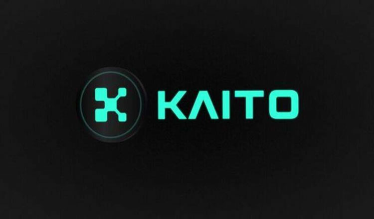 KAITOʲôô򣿱ҰHODLerͶĿֵͶ