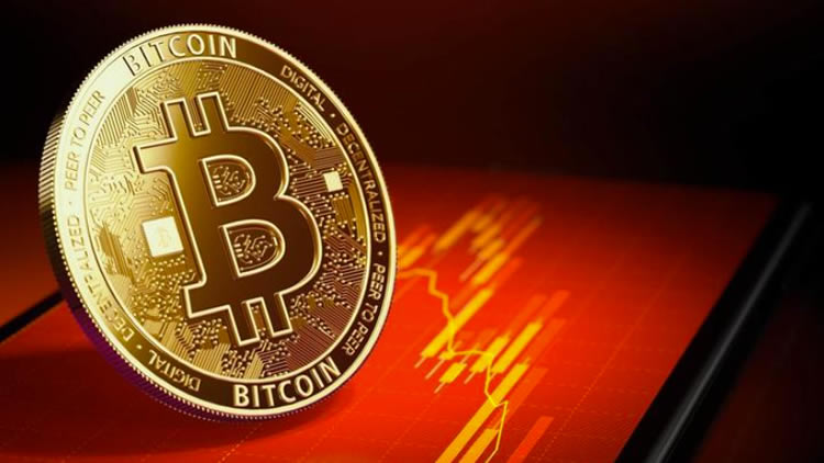 ʲôǱرָ(BTC.D)͸BTC.Dжгƣ