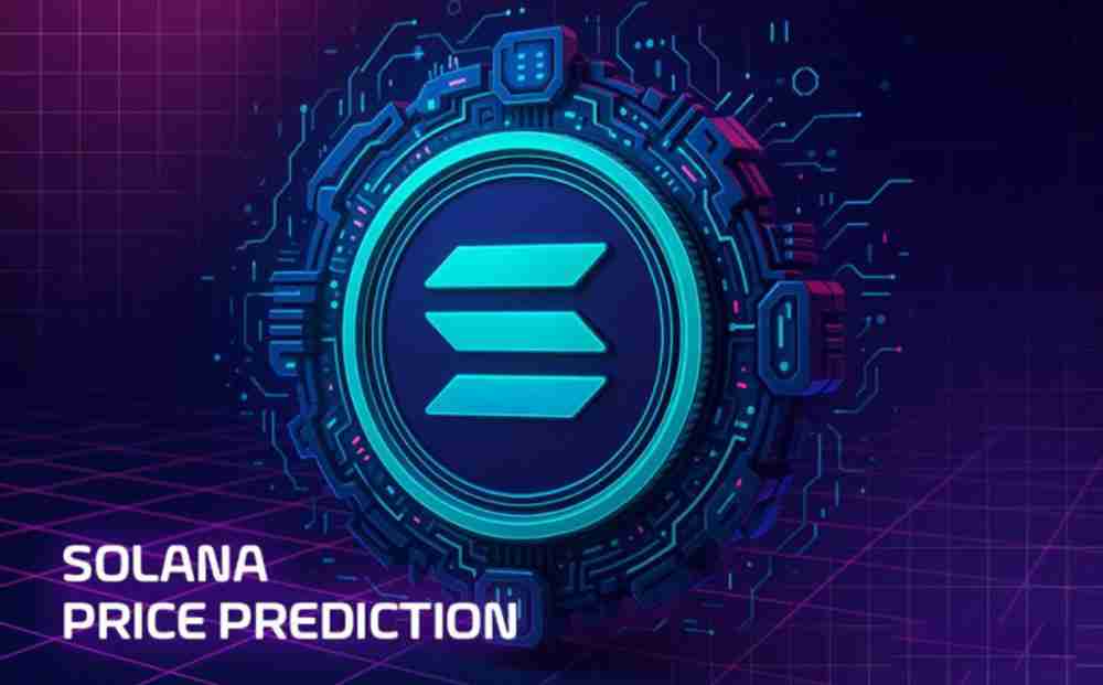 2025Solana۸Ԥ⣺SOL21.6%ͶעĹؼݵ