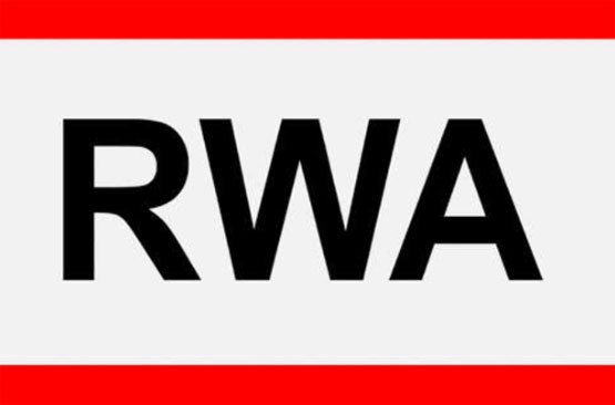 һ˽ΪʲôRWAԿȫ򻯵Ļ