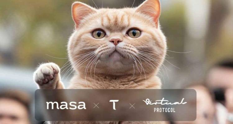 TAOCATʲô?ô?TAOCATֵͶ?