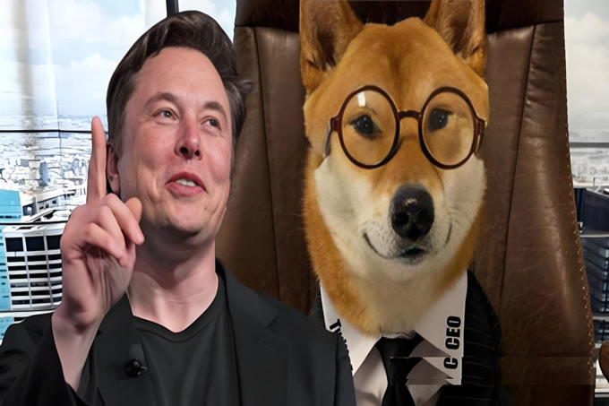 ˹˲֡DOGE塯ν衮ӳ²