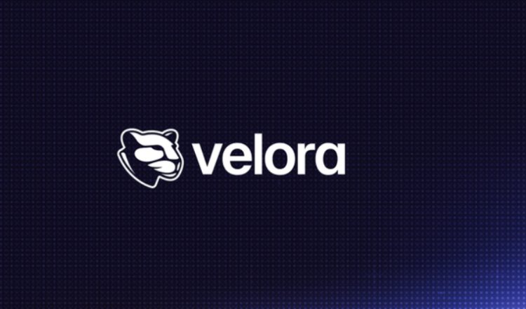 Velora(VLR)ʲô?ô?VeloraĿ,Ҿδչ