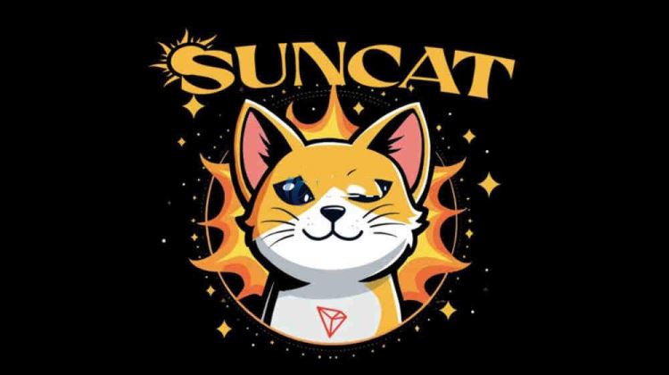 SUNCATʲô֣SUNCATδǱΣSUNCATȫ