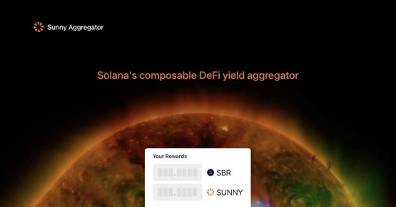 һ˽SUNNYôSUNNYʲô֣