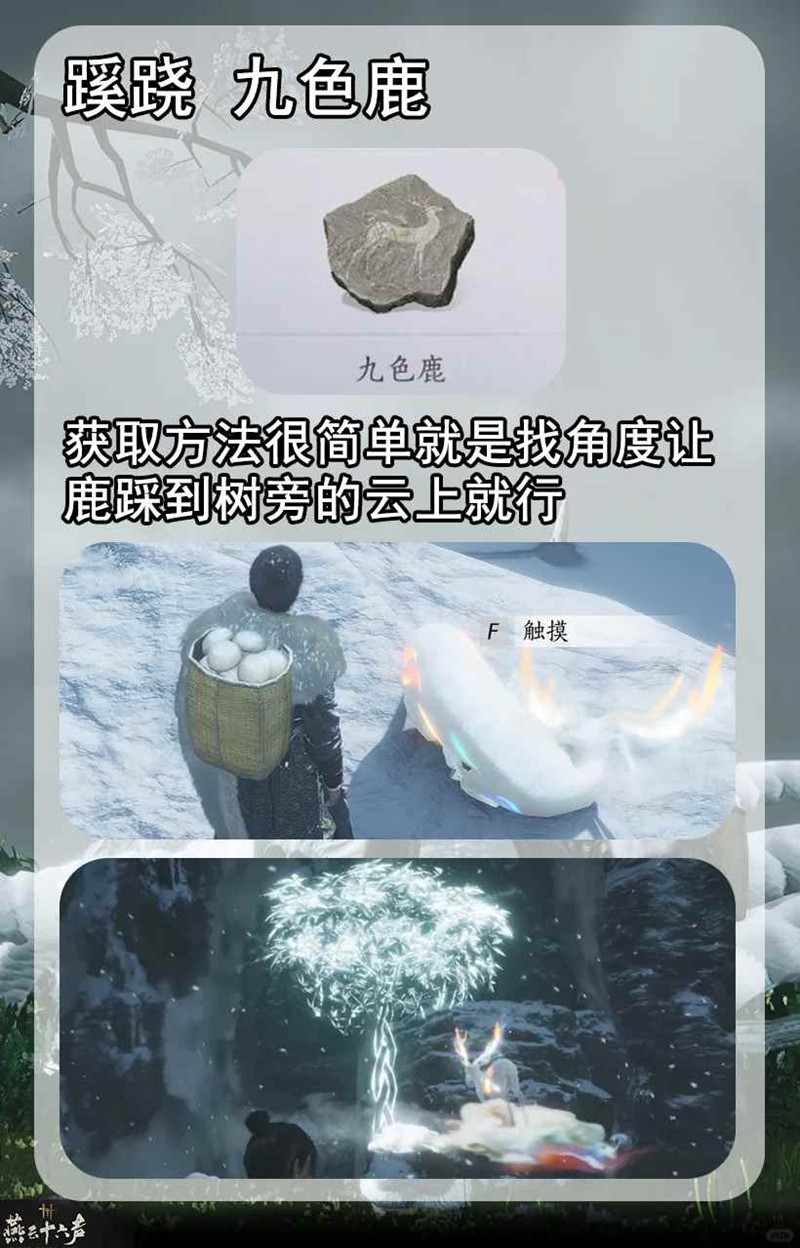 ʮɽ̽
