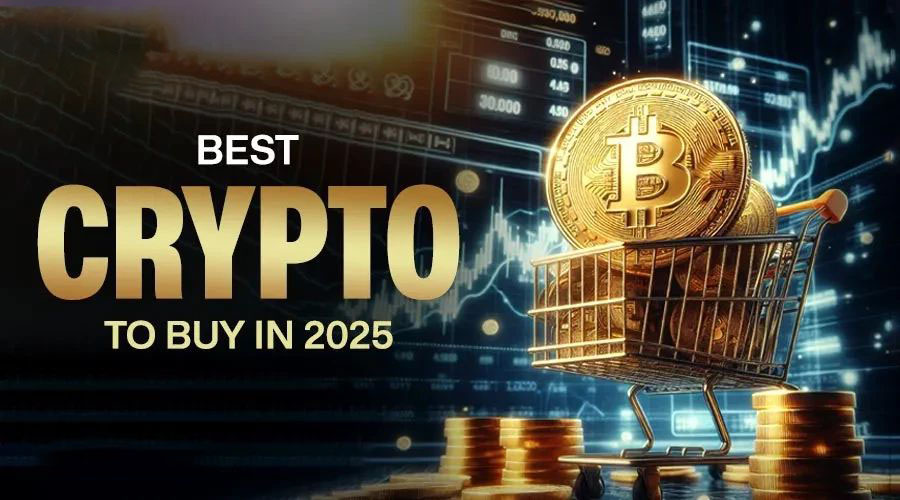2025ֵùļܻңѡǱ޴