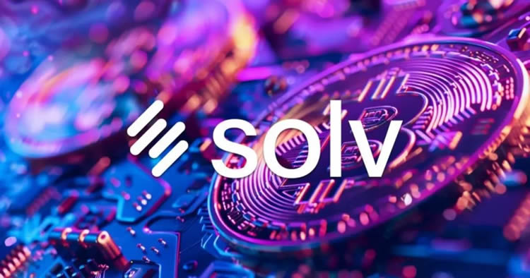SOLVͶʼֵǵ100Ԫ