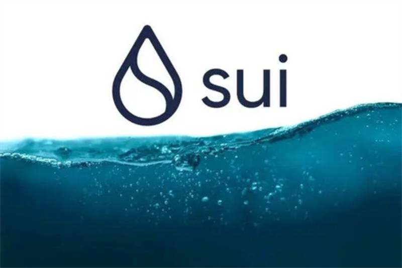 SUIƭ?SUIֵͶ?