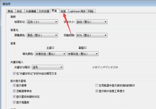 Lightroom怎么使用图形处理器_wishdown.com Lightroom怎么使用图形处理器_wishdown.com