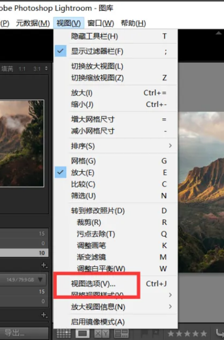 Lightroom如何显示网格额外信息_wishdown.com Lightroom如何显示网格额外信息_wishdown.com