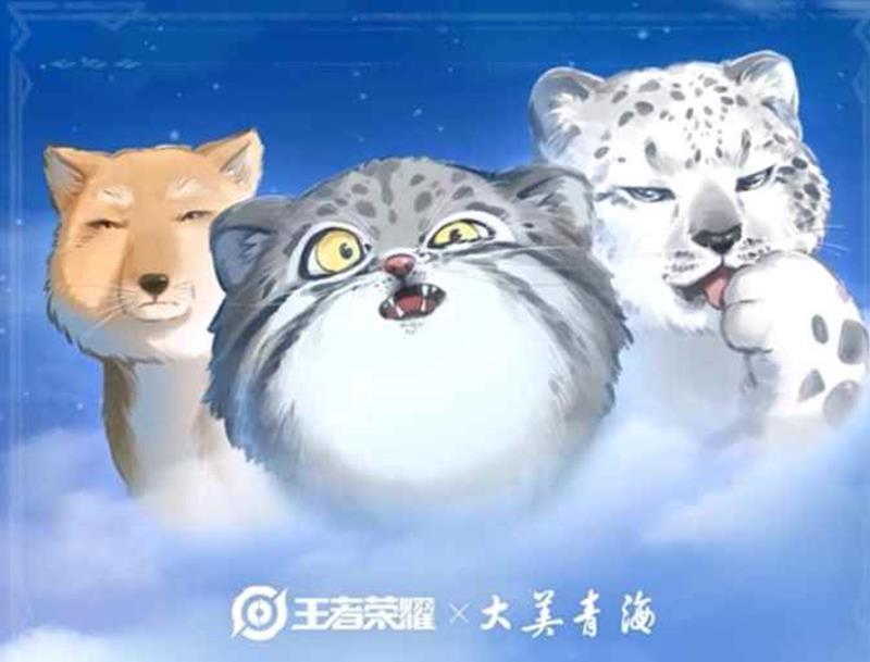 ҫԭƤǮ
