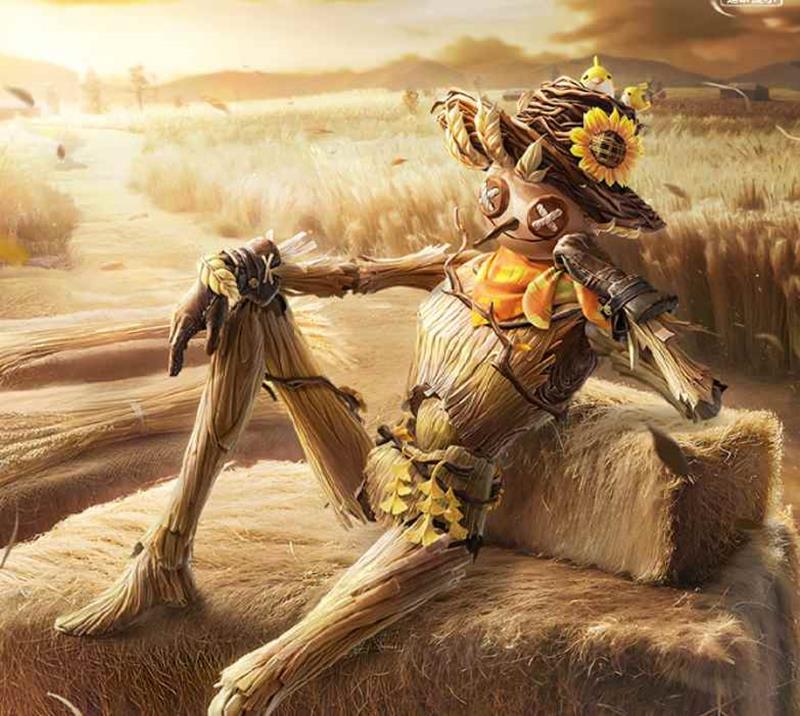 ƽӢŵ˶Ǯ