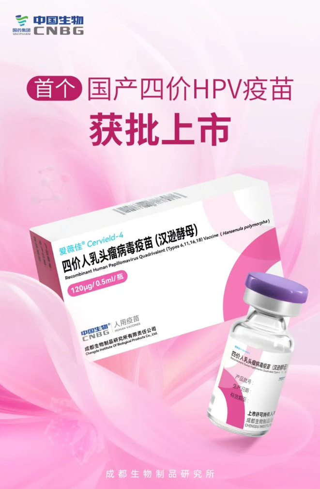 ҩ׸ļ HPV 