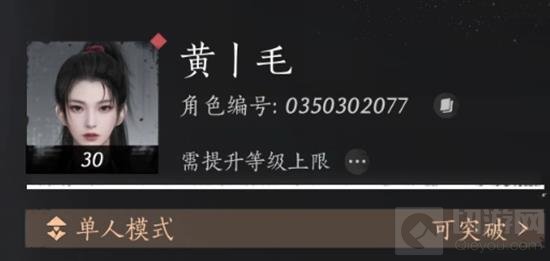 ʮ