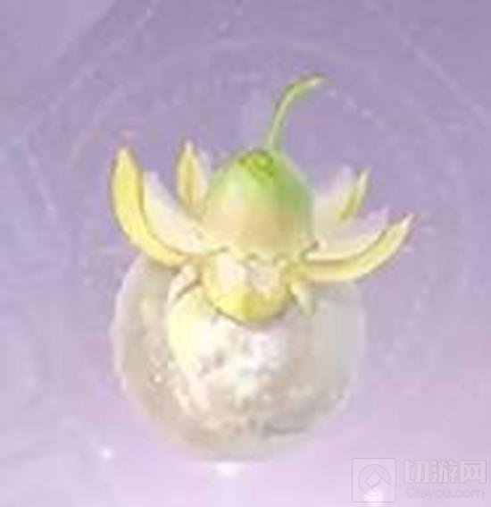 ůůչʲôط
