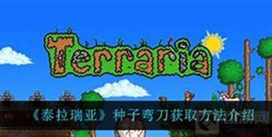 ̩䵶ȡʽ