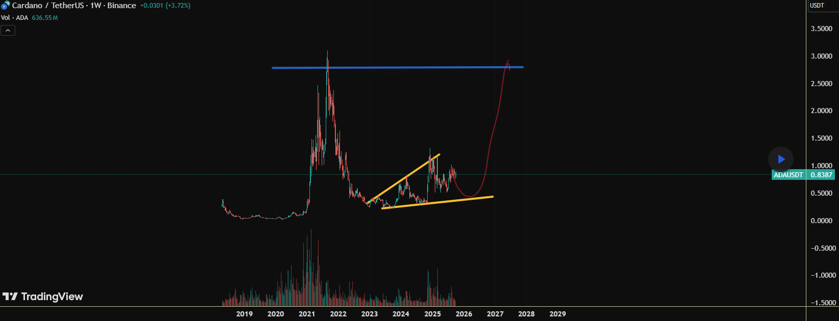 ʦ Cardano  2024  XRP  2023  Solana һǿ