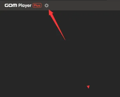 GOMPlayerôرͬʱг
