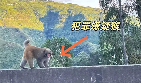 ·ͣϢҰ복Ϯץá