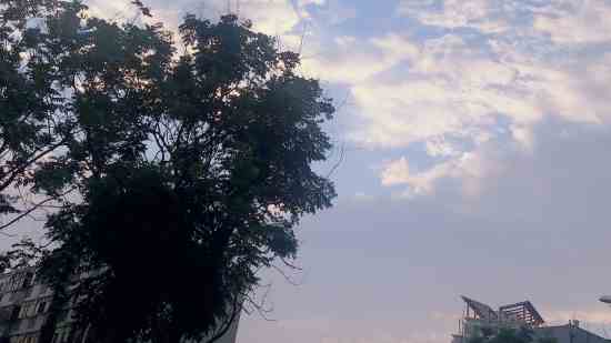 ڰ֮Ϸ