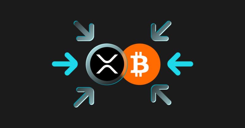 رҺXRPʲôĸãرҺXRP֮Ҫ
