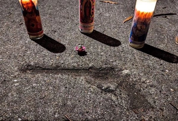 水泥地惊现“老鼠坑” 美国这条路火了!新研究带来反转:坑是松鼠砸的_wishdown.com 水泥地惊现“老鼠坑” 美国这条路火了!新研究带来反转:坑是松鼠砸的_wishdown.com