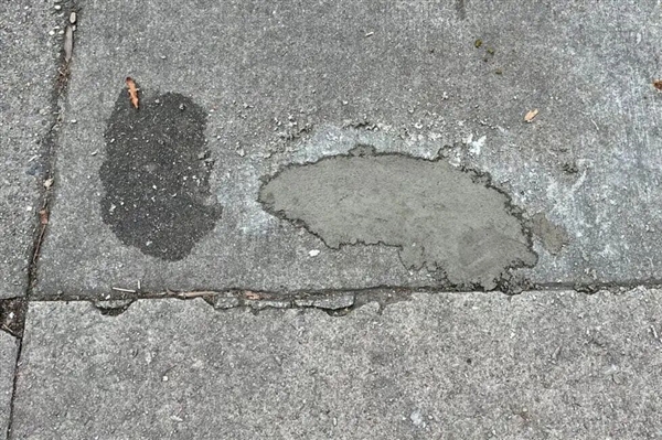 水泥地惊现“老鼠坑” 美国这条路火了!新研究带来反转:坑是松鼠砸的_wishdown.com 水泥地惊现“老鼠坑” 美国这条路火了!新研究带来反转:坑是松鼠砸的_wishdown.com