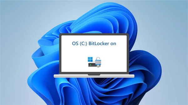 Windows BitLockerԶܴ̣3TBݶʧԶ޷һ