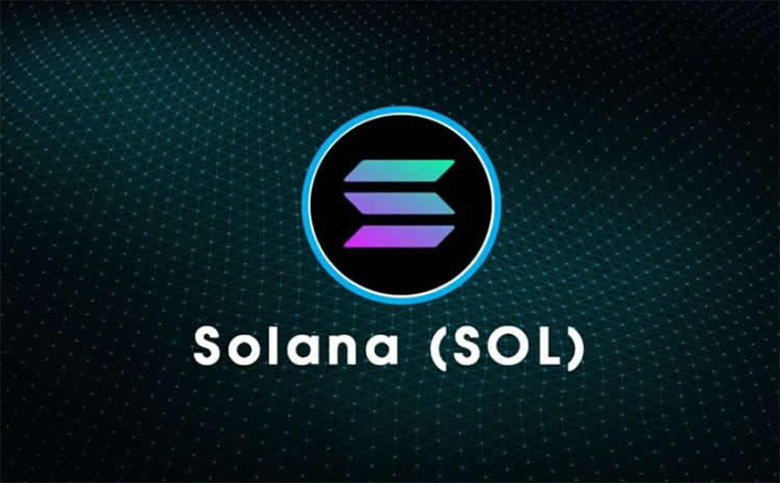 2025SOLʺϳڳSOLͻ300ʷ¸