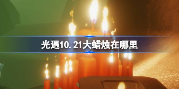 10.21