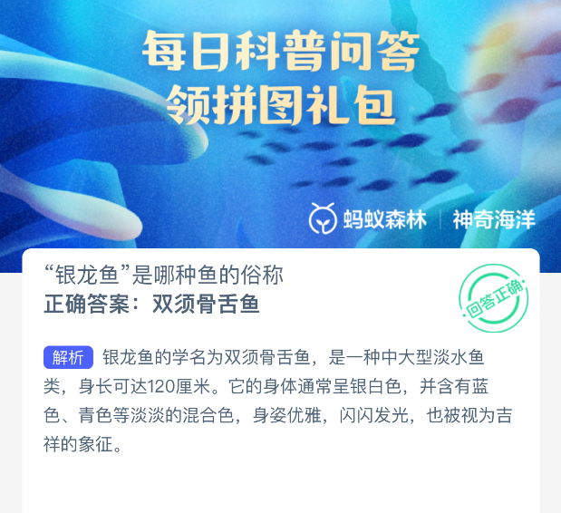 银龙鱼是哪种鱼的俗称