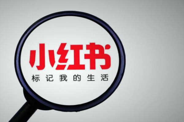小红书粉丝数量怎样查看?粉丝数量怎么增加?