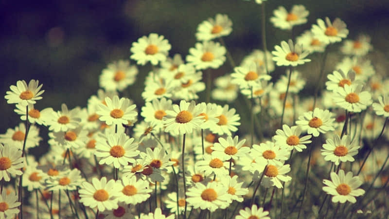 “存起来,过生日这么发,赞爆了”_wishdown.com “存起来,过生日这么发,赞爆了”_wishdown.com