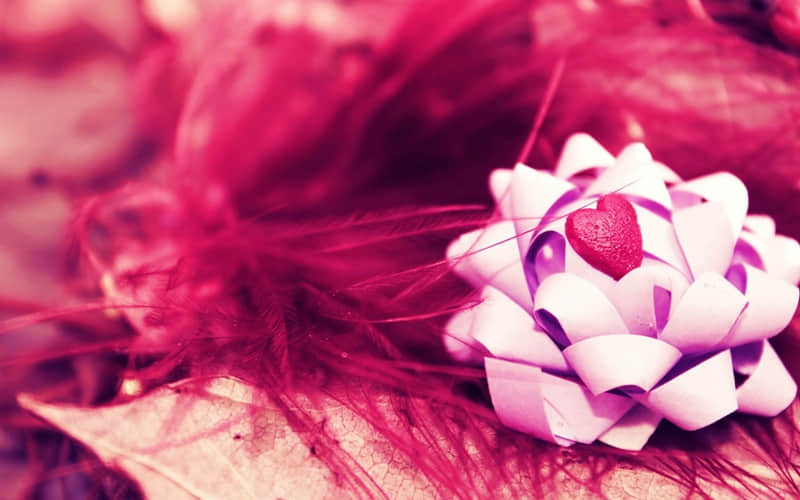 “存起来,过生日这么发,赞爆了”_wishdown.com “存起来,过生日这么发,赞爆了”_wishdown.com