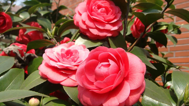 “存起来,过生日这么发,赞爆了”_wishdown.com “存起来,过生日这么发,赞爆了”_wishdown.com