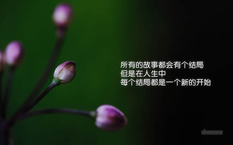 “姐妹局,这样发圈”??_wishdown.com “姐妹局,这样发圈”??_wishdown.com