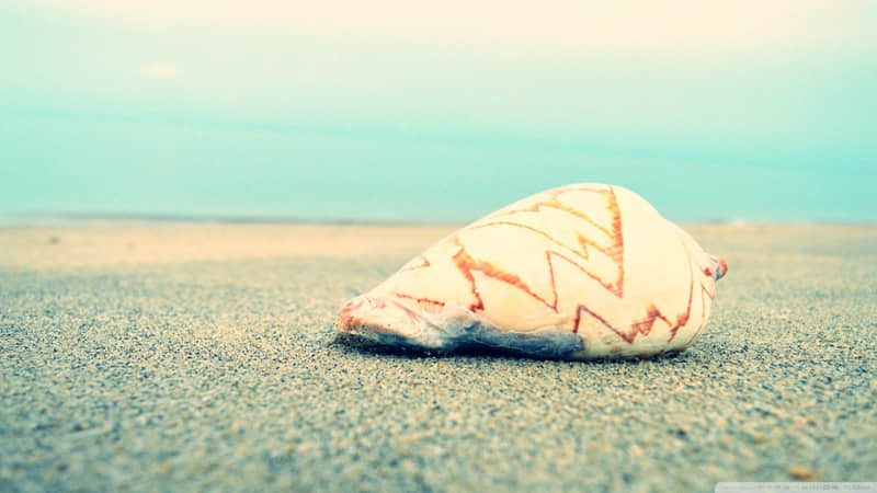 “好文案,一句就够了~”??_wishdown.com “好文案,一句就够了~”??_wishdown.com