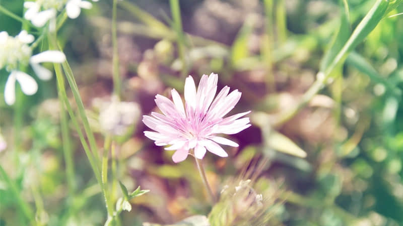 “改个酒系微信昵称,好听到醉”_wishdown.com “改个酒系微信昵称,好听到醉”_wishdown.com