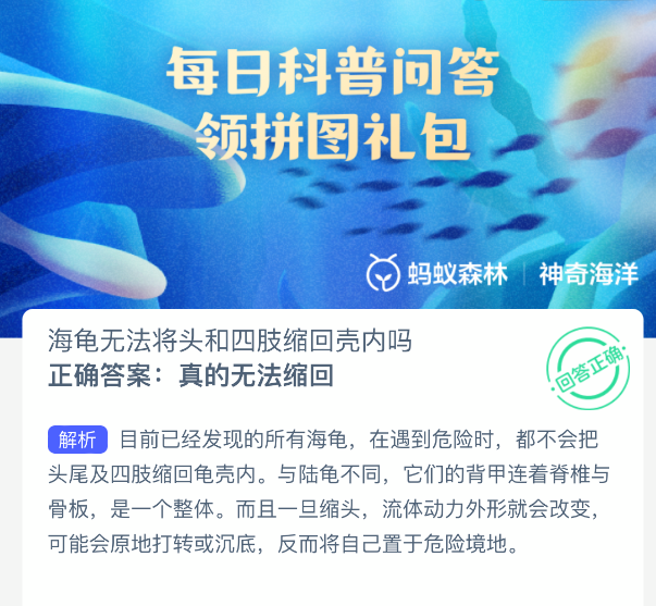 海龟无法将头和四肢缩回壳内吗