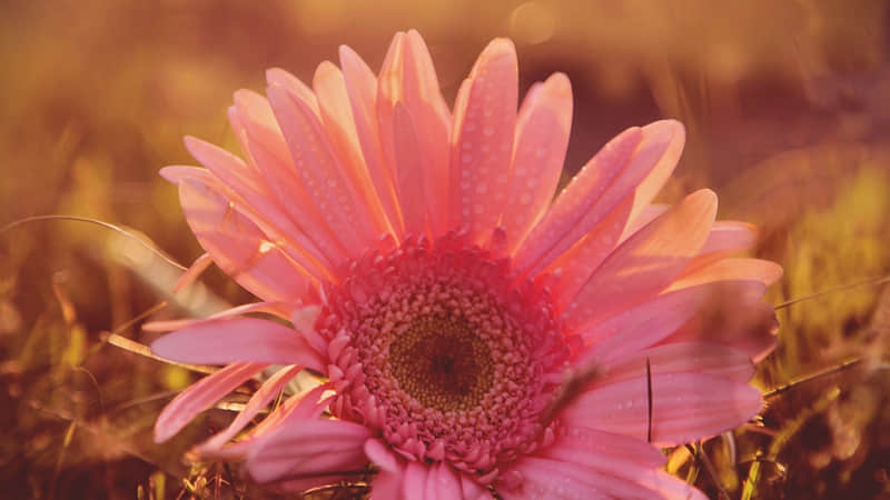 降温这样发,去笑死你的朋友圈