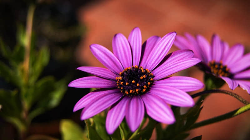 "在喜欢的状态里更新生活??朋友圈文案"_wishdown.com "在喜欢的状态里更新生活??朋友圈文案"_wishdown.com