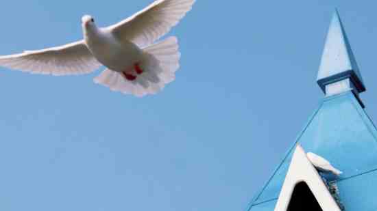 wow狼人战士名字_wishdown.com wow狼人战士名字_wishdown.com