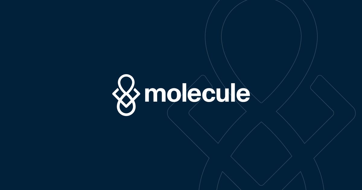 Molecule ProtocolʲôֵͶMOLECULEơǱڻر