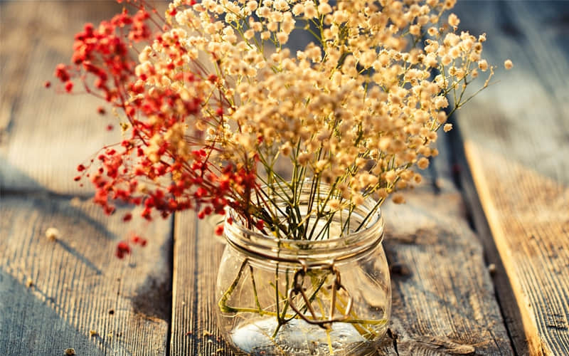 “适合早上发的,闪闪发光的句子”_wishdown.com “适合早上发的,闪闪发光的句子”_wishdown.com