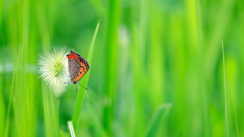 “适合早上发的,闪闪发光的句子”_wishdown.com “适合早上发的,闪闪发光的句子”_wishdown.com