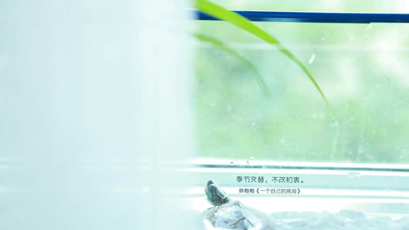 “拿一句,去微信置顶吧!”_wishdown.com “拿一句,去微信置顶吧!”_wishdown.com