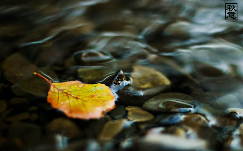 “拿一句,去微信置顶吧!”_wishdown.com “拿一句,去微信置顶吧!”_wishdown.com