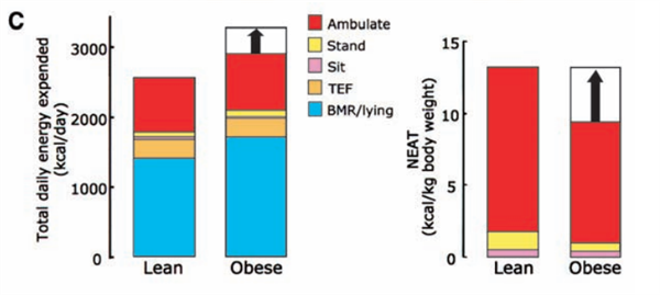 一个比散步还简单的动作 每天只需10分钟 就能改善体态、缓解肩颈痛_wishdown.com 一个比散步还简单的动作 每天只需10分钟 就能改善体态、缓解肩颈痛_wishdown.com
