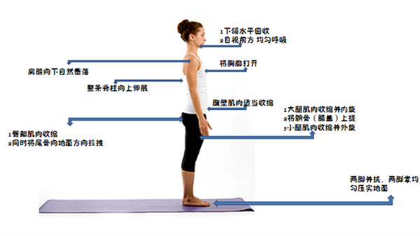一个比散步还简单的动作 每天只需10分钟 就能改善体态、缓解肩颈痛_wishdown.com 一个比散步还简单的动作 每天只需10分钟 就能改善体态、缓解肩颈痛_wishdown.com